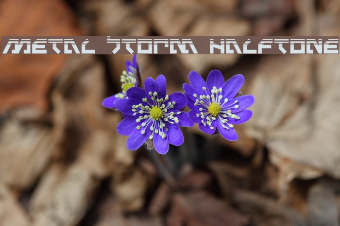 Metal Storm Halftone Example 1