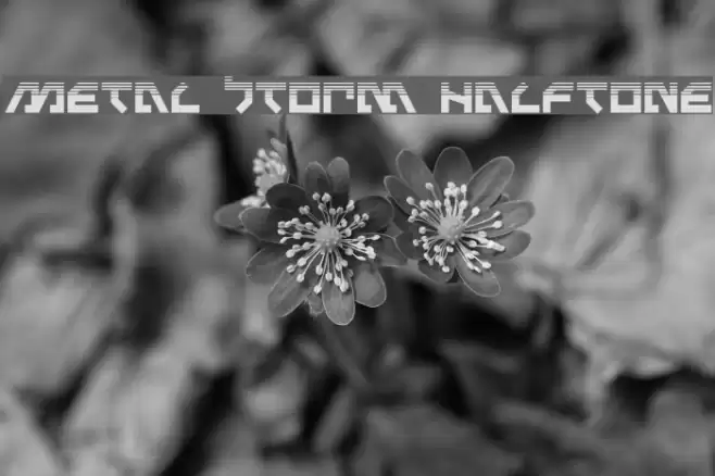 Metal Storm Halftone Font examples
