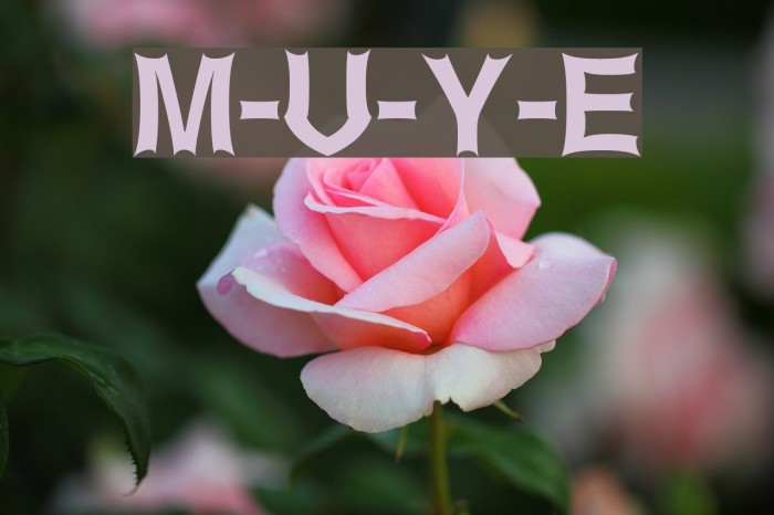 Metal-Up-Your-Ear Font examples