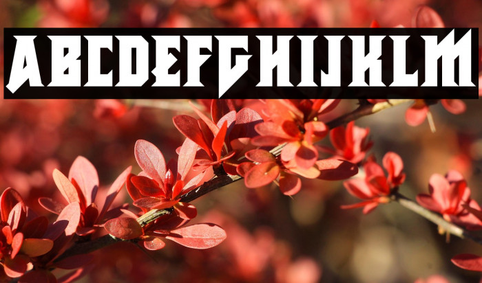 Metal Vengeance Example 2