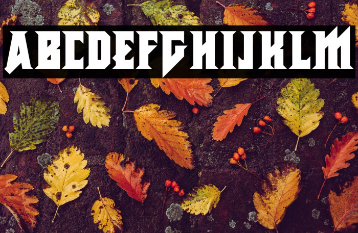 Metal Vengeance Example 3