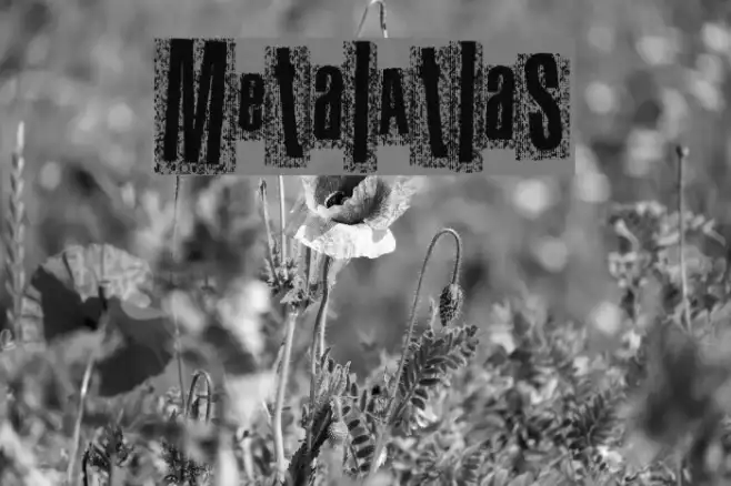 MetalAtlas Example 3