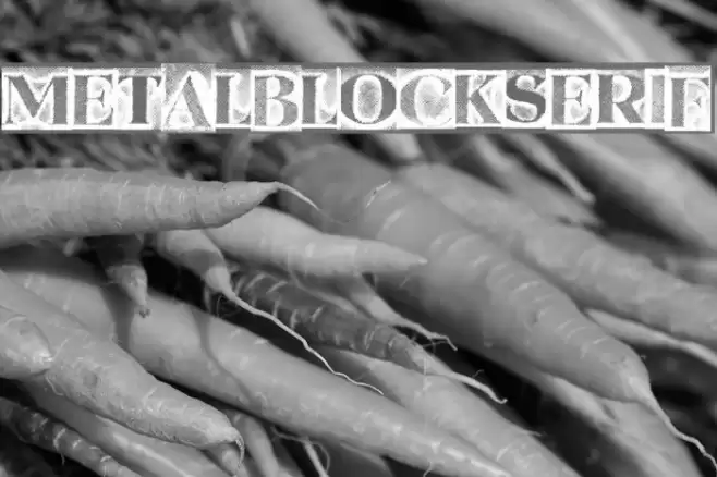 MetalBlockSerif Font examples