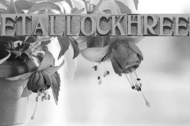MetalBlockThree Example 1