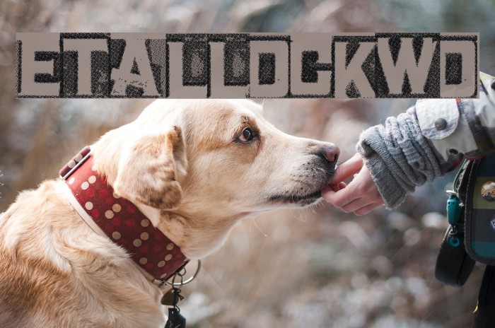 MetalBlockTwo Font examples
