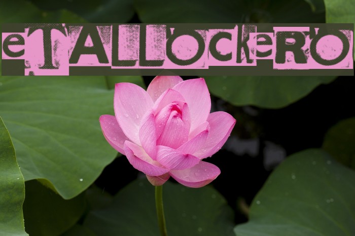 MetalBlockZero Font examples
