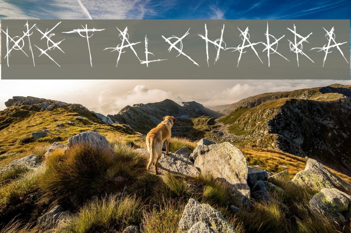 MetalChakra Example 3