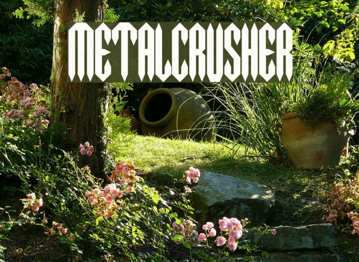 MetalCrusher Caratteri examples