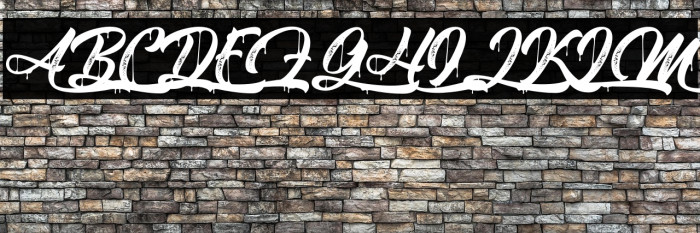 MetalLadyPersonalUse Example 2