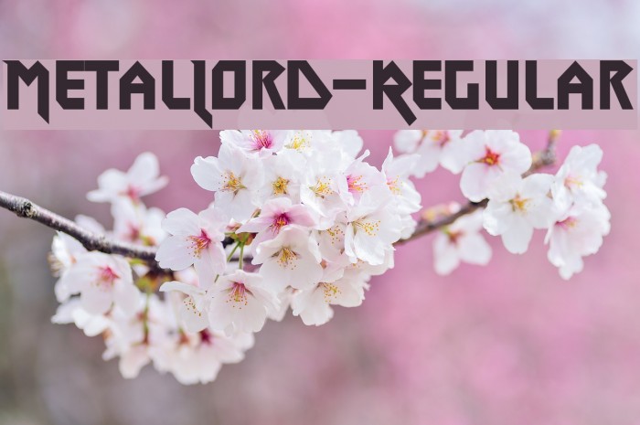 MetalLord-Regular Example 2