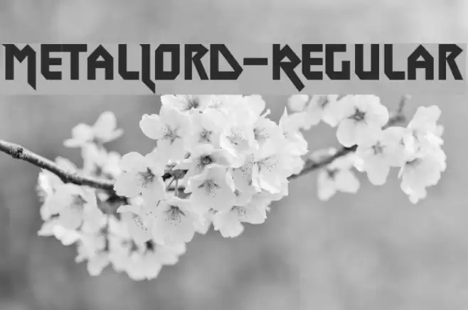 MetalLord-Regular Font examples