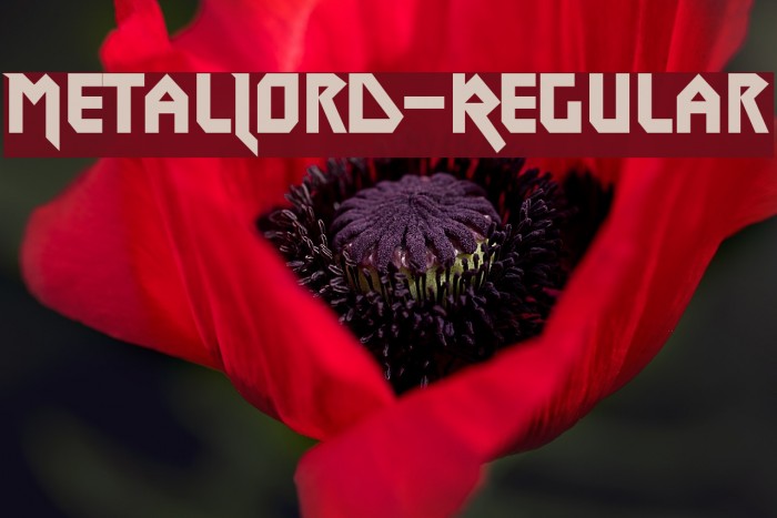 MetalLord-Regular Example 3