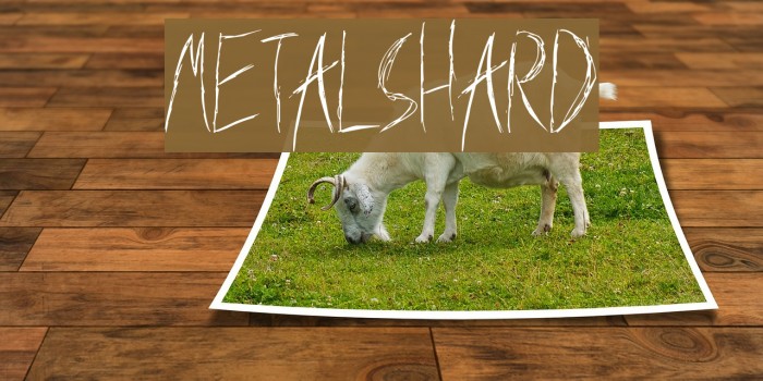 MetalShard Шрифта examples
