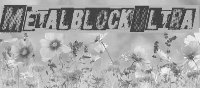 MetalblockUltra Example 3