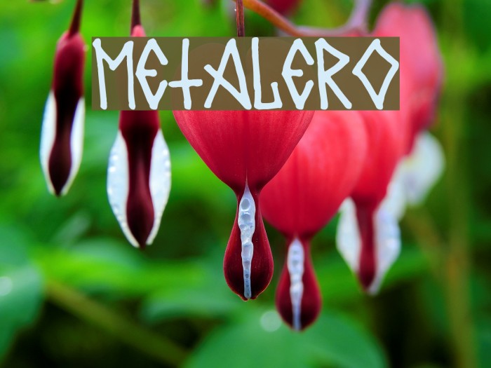 Metalero80 Font examples