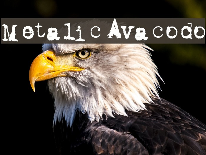 Metalic Avacodo Example 3