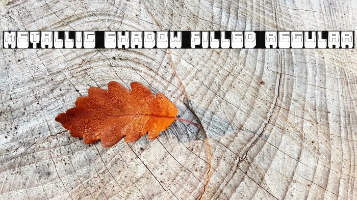 Metallic Shadow Filled Regular Font examples
