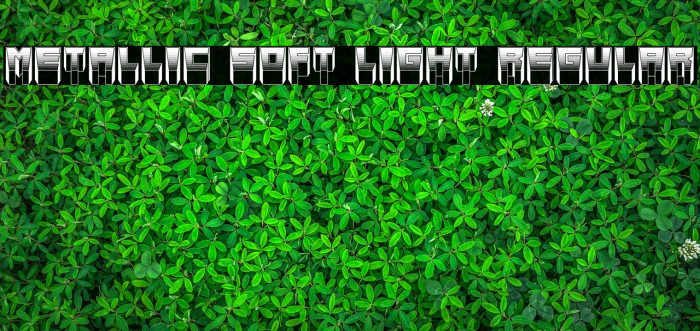 Metallic Soft Light Regular Font examples