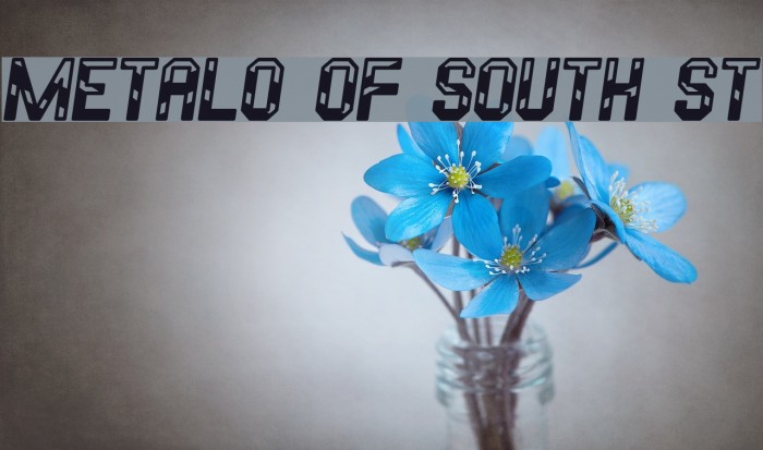 Metalo Of South St Font examples
