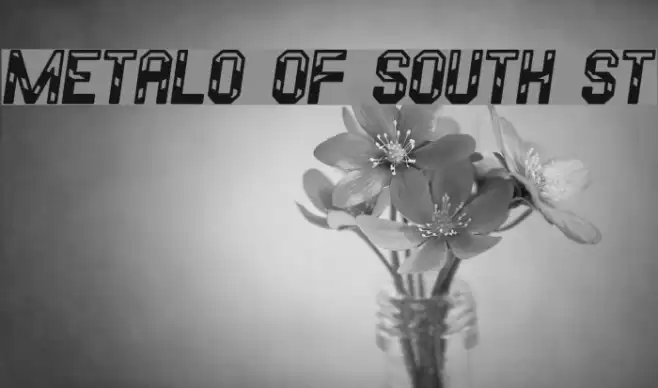 Metalo Of South St Font examples