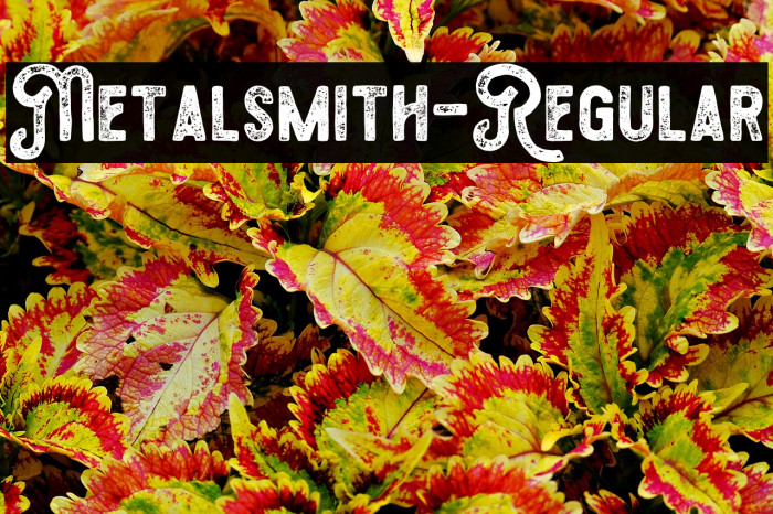 Metalsmith-Regular Example 1