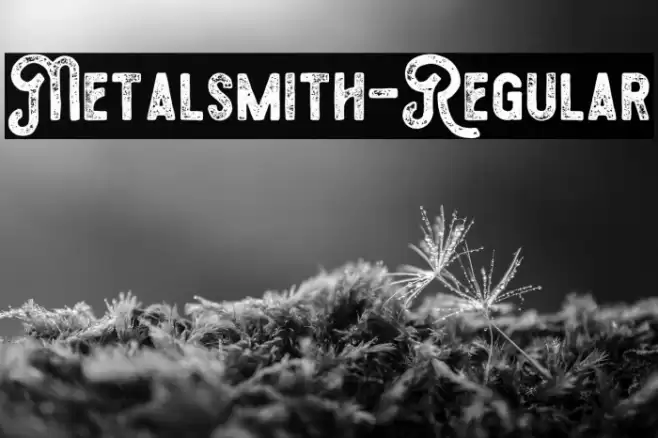 Metalsmith-Regular Font examples