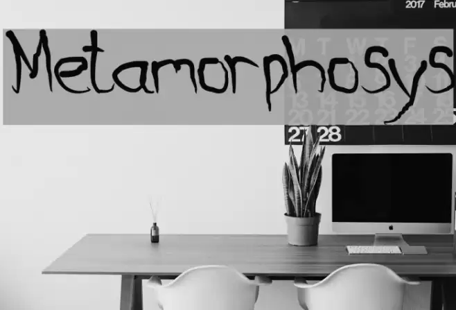 Metamorphosys Font examples