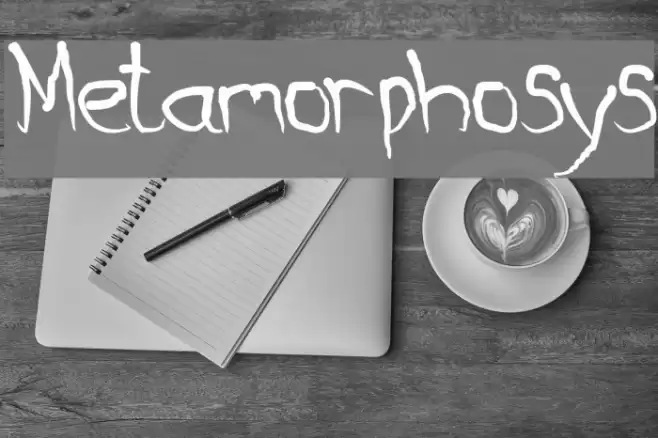 Metamorphosys Font examples
