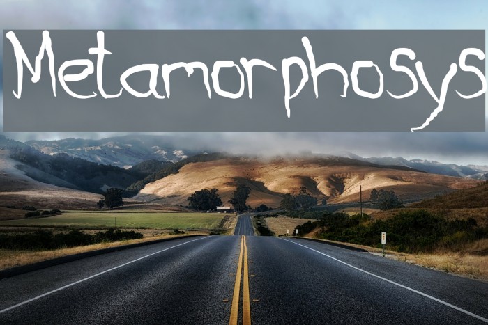Metamorphosys Font - FFonts.net