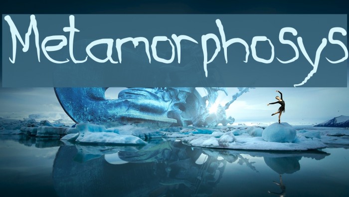 Metamorphosys Example 3