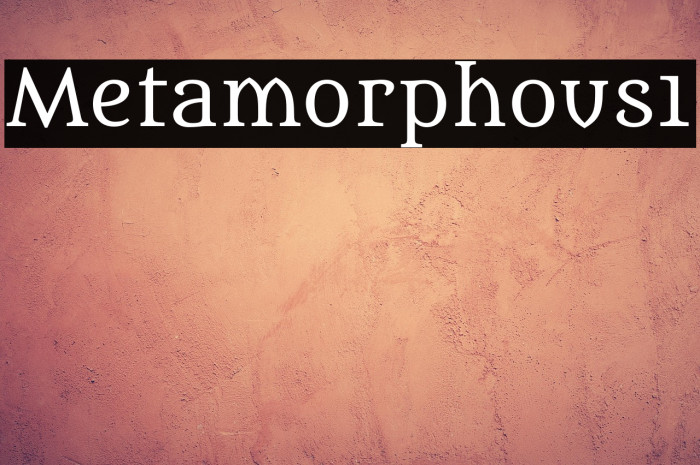 Metamorphous1 Example 1