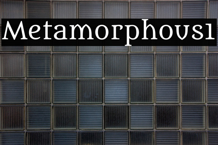 Metamorphous1 Example 2