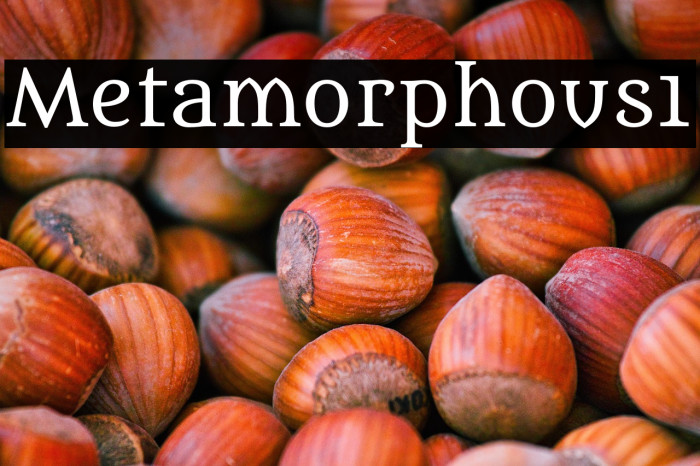 Metamorphous1 Example 3