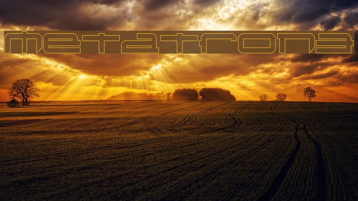 Metatron3 Polices examples
