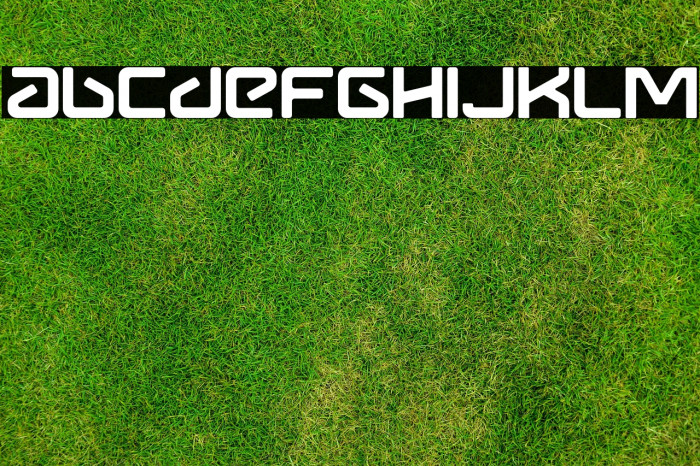 Metavers Rounded Example 2