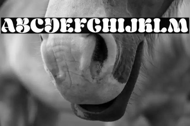 Metch Bright Personal Use Only Шрифта examples