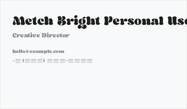 Metch Bright Personal Use Only Business Card
