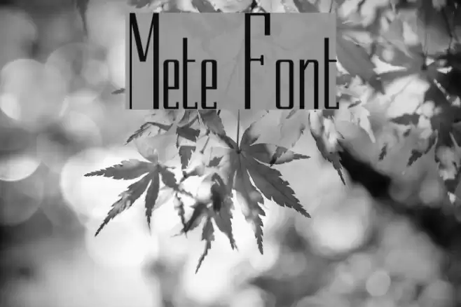 Mete Font examples