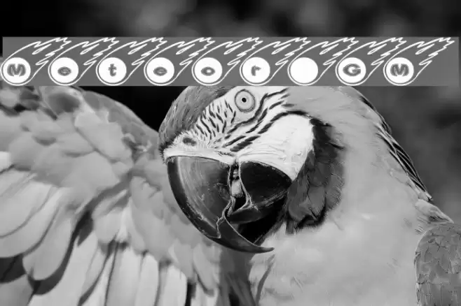 Meteor GM Font examples