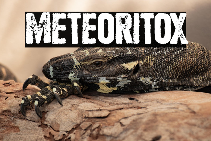 Meteoritox Example 1