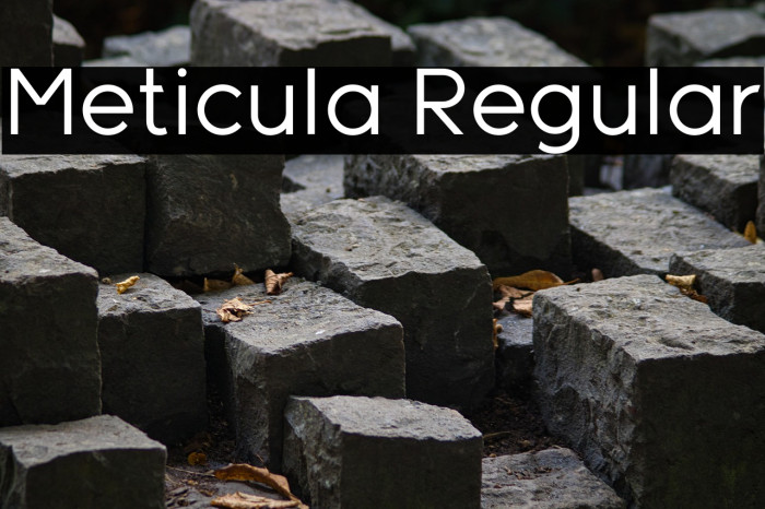Meticula Regular Example 1