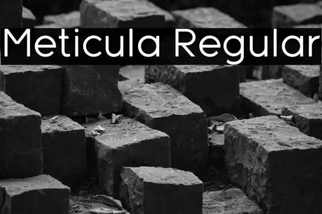 Meticula Regular Example 1