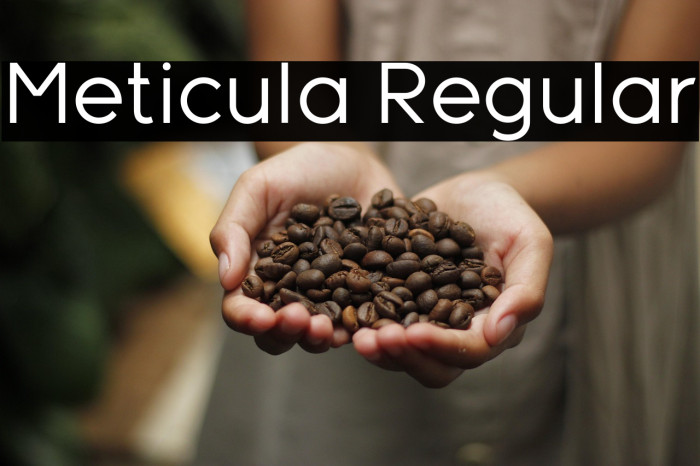 Meticula Regular Example 2