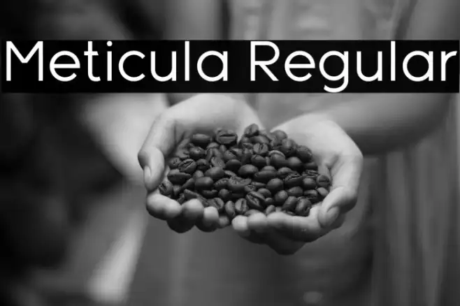 Meticula Regular Example 2