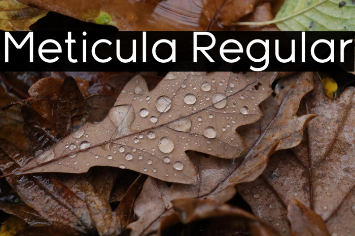 Meticula Regular Example 3