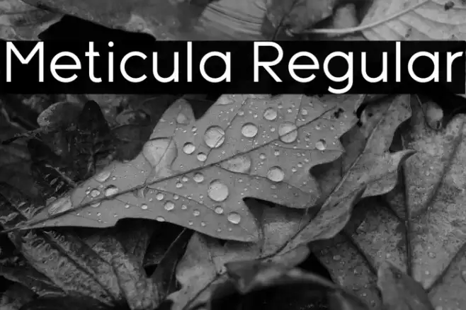 Meticula Regular Example 3