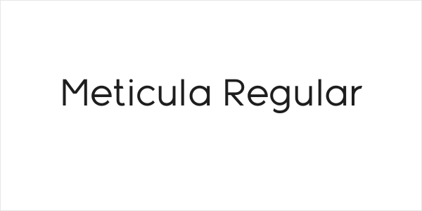 Meticula Regular Logo