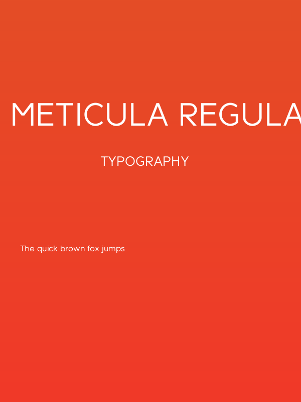 Meticula Regular Poster