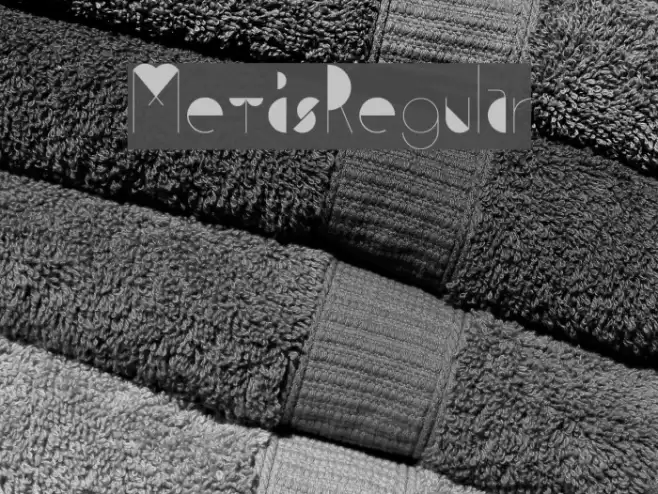 MetisRegular Font examples