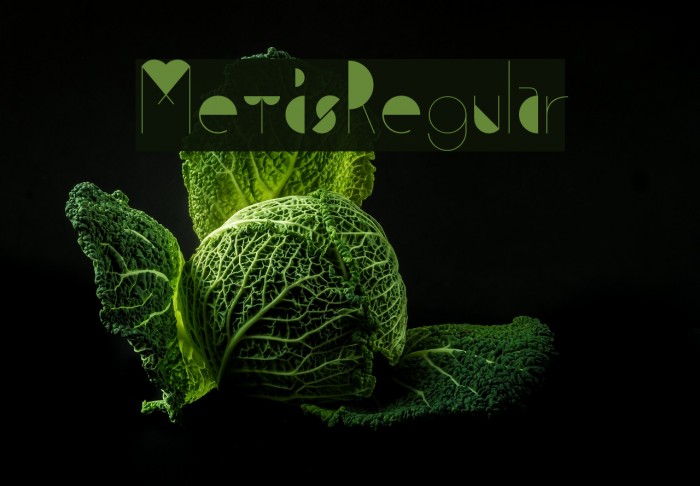 MetisRegular Example 2